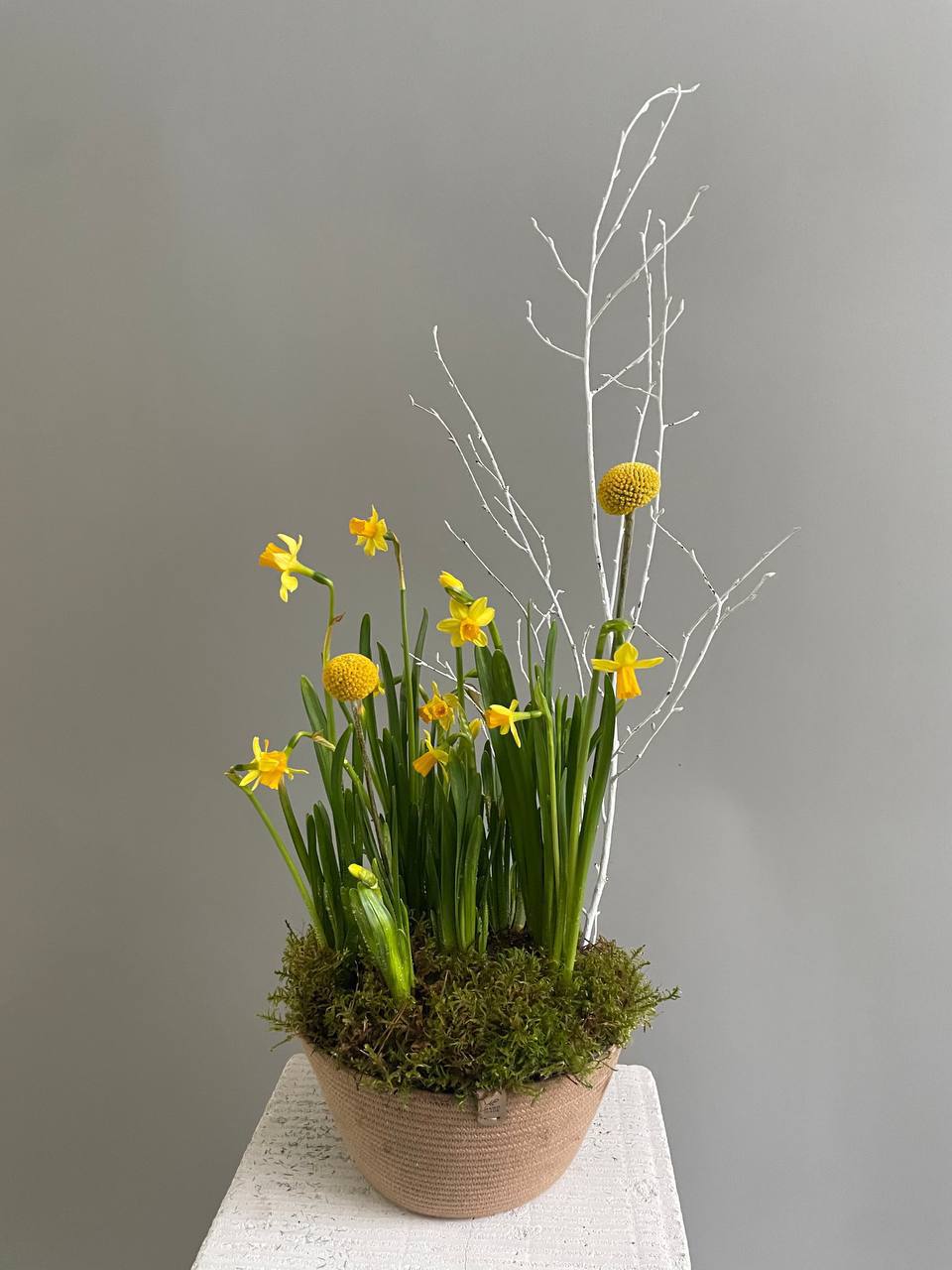 Стилистика #4 — Композиция из луковичных растений